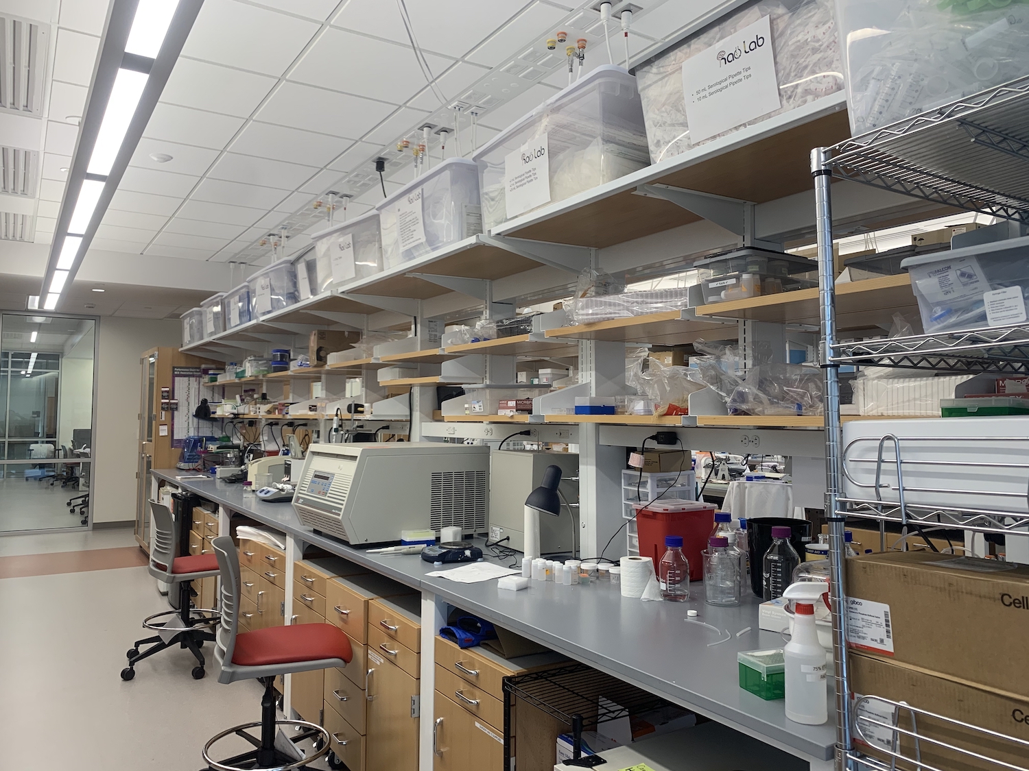 Rama Rao Lab Rao Lab