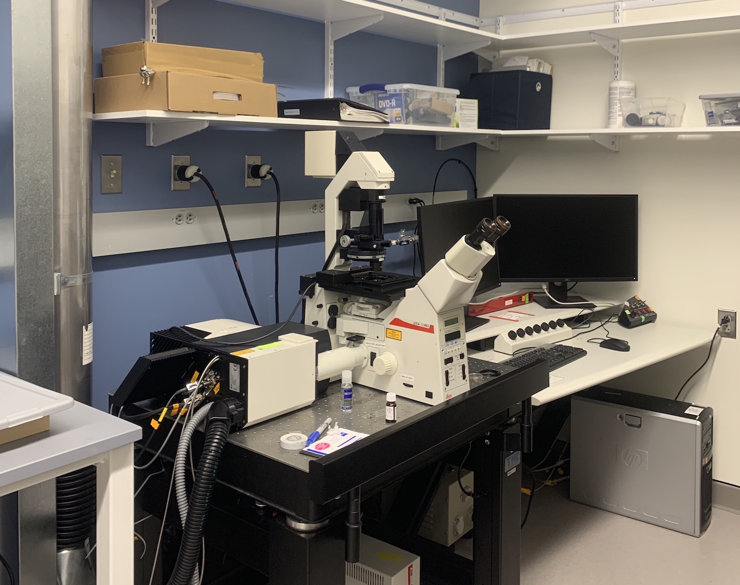 Rama Rao Lab Rao Lab