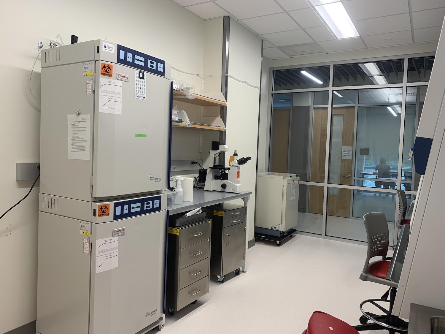 Rama Rao Lab Rao Lab